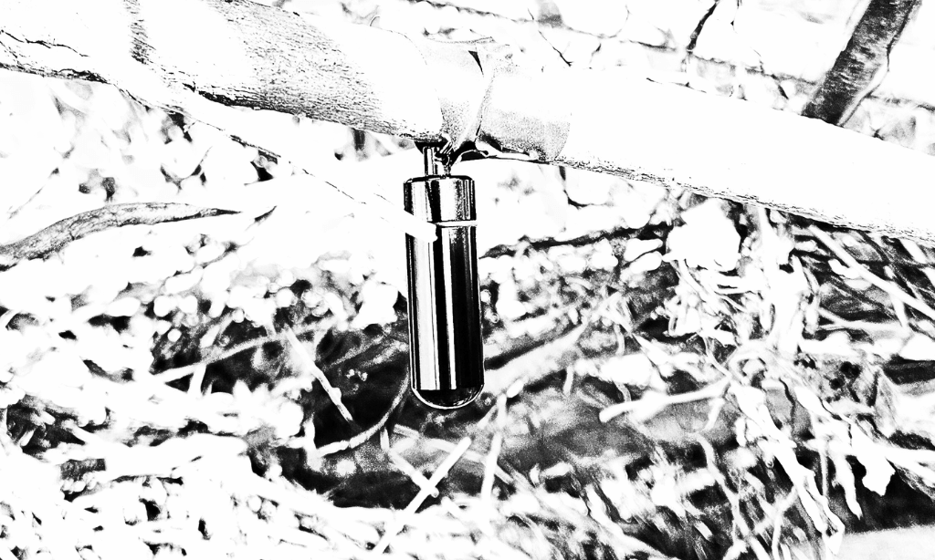 A Portal Has Opened! It Isn’t for Everyone’s Eyes