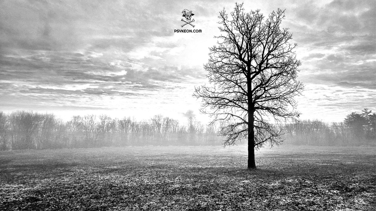 Psycholytic Dreams & Nightmares [EPs]